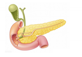 胆囊结石发病率越来越高吗 如何预防胆囊结石