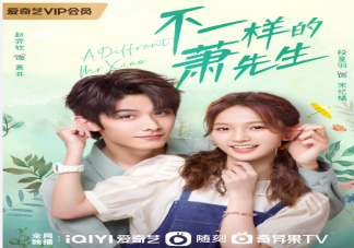 《不一样的萧先生》根据什么小说改编的 《不一样的萧先生》人物关系介绍