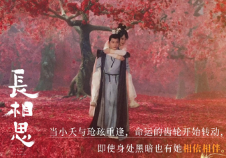 《长相思》第二季分集剧情简介 《长相思》第二季什么时候播出