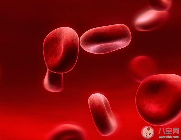 没症状的贫血可以不管吗 如何简单自测是否有贫血 没症状的贫血可以不管吗 如何简单自测是否有贫血