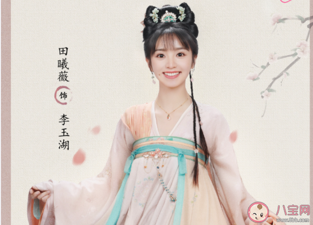 《花轿喜事》追剧日历 《花轿喜事》剧情介绍