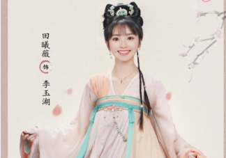 《花轿喜事》追剧日历 《花轿喜事》剧情介绍