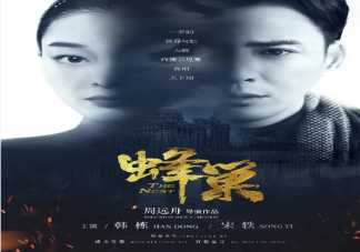 电视剧《蜂巢》讲述了什么故事 《蜂巢》人物关系介绍