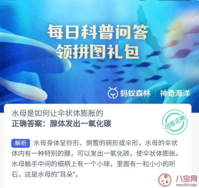 蚂蚁森林水母是如何让伞状体膨胀的 神奇海洋8月31日答案