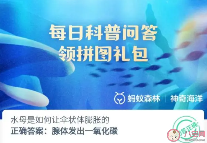 水母是如何让伞状体膨胀的 神奇海洋8月31日答案