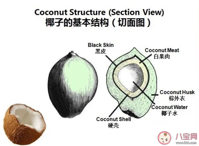 椰子水价格暴涨4000%是怎么回事 如何区分椰子汁与椰子水