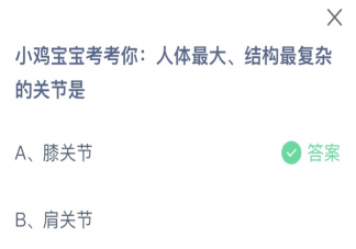 人体最大结构最复杂的关节是什么 蚂蚁庄园9月2日答案最新