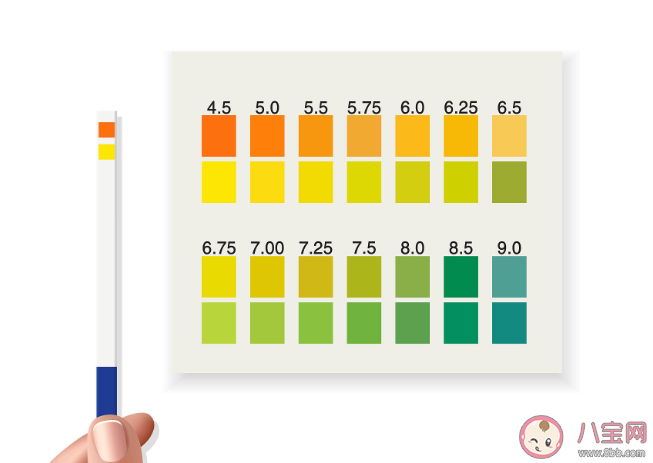 体检时为何要留晨尿 尿检为什么要中段尿 体检时为何要留晨尿 尿检为什么要中段尿
