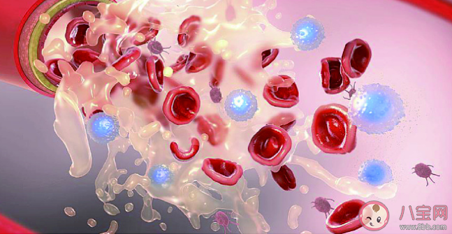 女子花84万在医美机构做血液净化 美容院里的血液净化可信吗 女子花84万在医美机构做血液净化 美容院里的血液净化可信吗