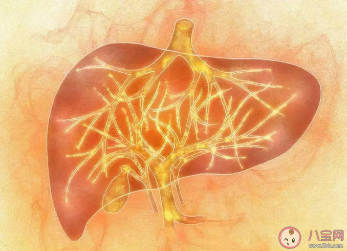如何判断身体是否肝火旺 肝火旺怎么调理 如何判断身体是否肝火旺 肝火旺怎么调理