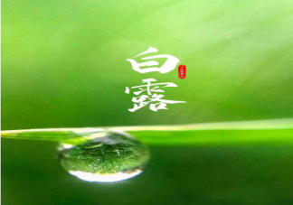 2023白露节气的含义是什么 白露节气传统习俗介绍