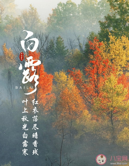 2023今日白露节气早安问候语温暖句子 白露节气早安朋友圈文案唯美说说