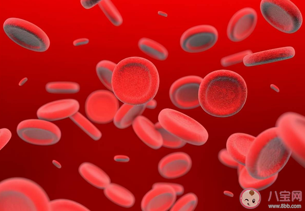 骨髓移植后可能会改变血型 为什么血型会改变 骨髓移植后可能会改变血型 为什么血型会改变