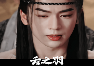 《云之羽》宫子羽的父兄是谁杀的 宫子羽的身世是什么