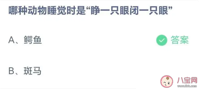 哪种动物睡觉时是睁一只眼闭一只眼 蚂蚁庄园9月12日答案