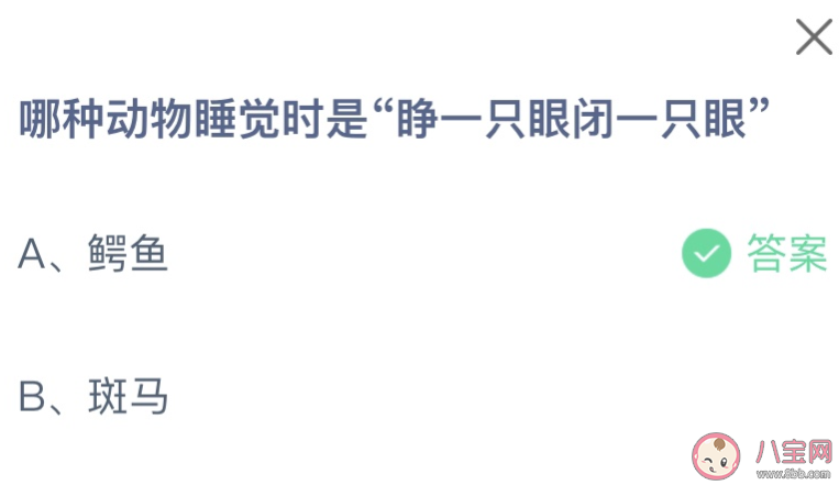 睡觉时睁一只眼闭一只眼是哪种动物 蚂蚁庄园9月12日答案