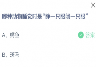 睡觉时睁一只眼闭一只眼是哪种动物 蚂蚁庄园9月12日答案