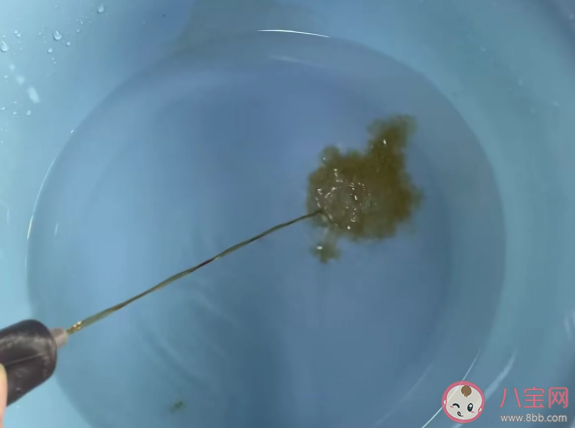 藿香正气水泡脚有效吗 泡脚的正确打开方式是什么 藿香正气水泡脚有效吗 泡脚的正确打开方式是什么