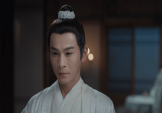 《九义人》吴廉结局是什么 宁国公夫人是好是坏