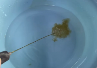 藿香正气水泡脚有效吗 泡脚的正确打开方式是什么