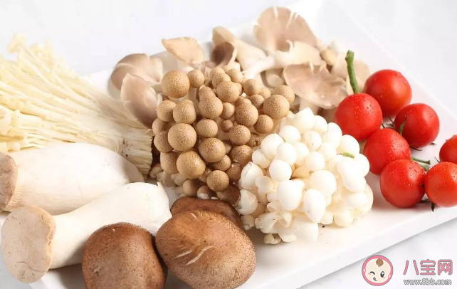 吃蘑菇有助于减肥吗 菌类食物有哪些营养