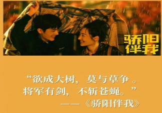 电视剧《骄阳伴我》经典台词句子 《骄阳伴我》令人印象深刻的台词文案