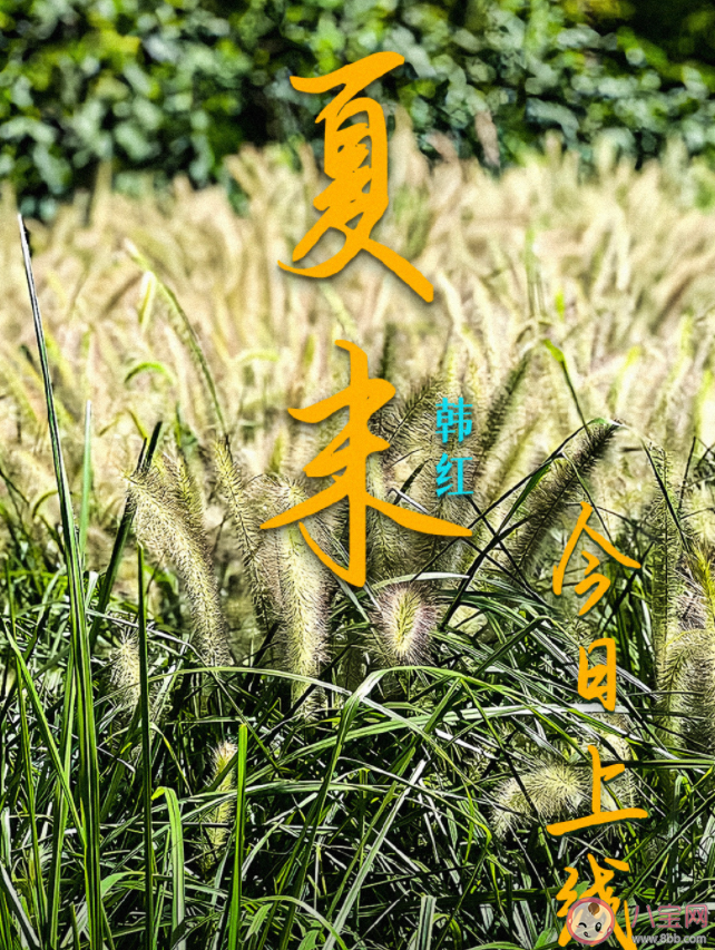 韩红新歌《夏末》歌词是什么 《夏末》歌词歌曲介绍