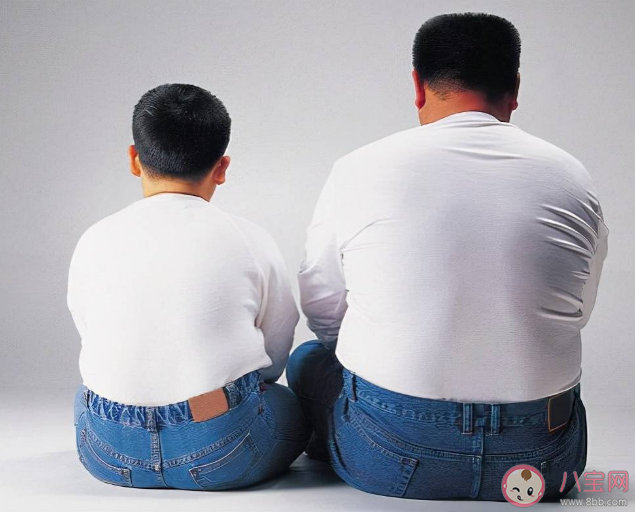 中国人越来越胖了吗 为什么现代人会越来越胖