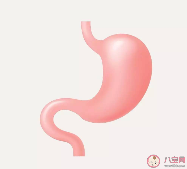 为什么久坐工作容易饿而一直走动不会 特别容易饿是什么原因