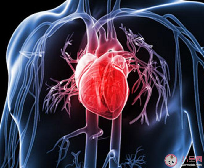 熬夜后的心脏有哪些变化 应该怎样保护心脏 熬夜后的心脏有哪些变化 应该怎样保护心脏