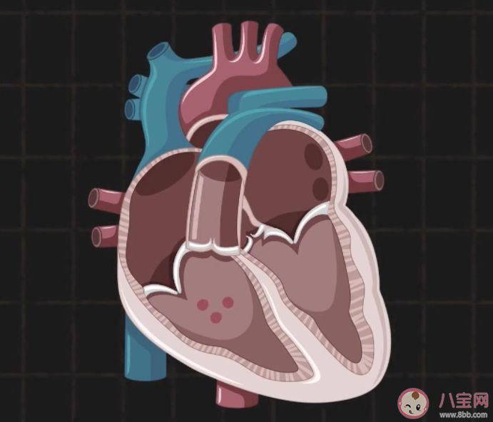 熬夜后的心脏有哪些变化 应该怎样保护心脏 熬夜后的心脏有哪些变化 应该怎样保护心脏