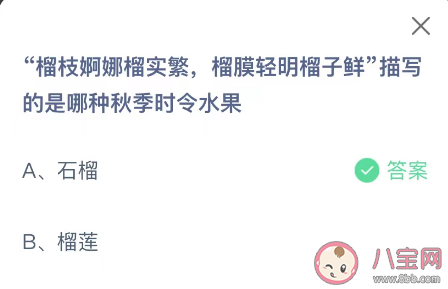 榴枝婀娜榴实繁榴膜轻明榴子鲜描写的是哪种秋季时令水果 蚂蚁庄园10月2日答案介绍