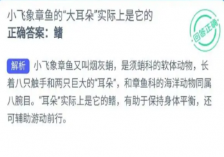 小飞象章鱼的大耳朵实际上是它的什么 神奇海洋10月7日答案