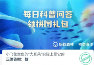 小飞象章鱼的大耳朵实际上是它的鳍还是鳃 神奇海洋10月7日答案