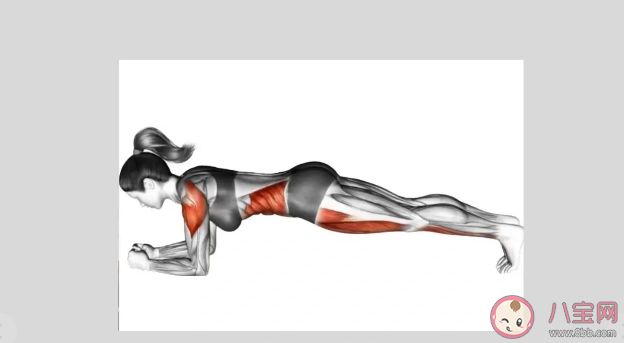 核心肌群到底在哪里 核心肌群如何训练 核心肌群到底在哪里 核心肌群如何训练