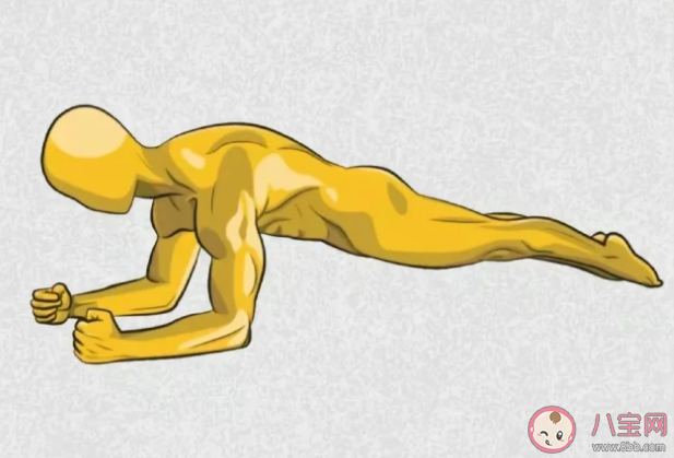 核心肌群到底在哪里 核心肌群如何训练 核心肌群到底在哪里 核心肌群如何训练