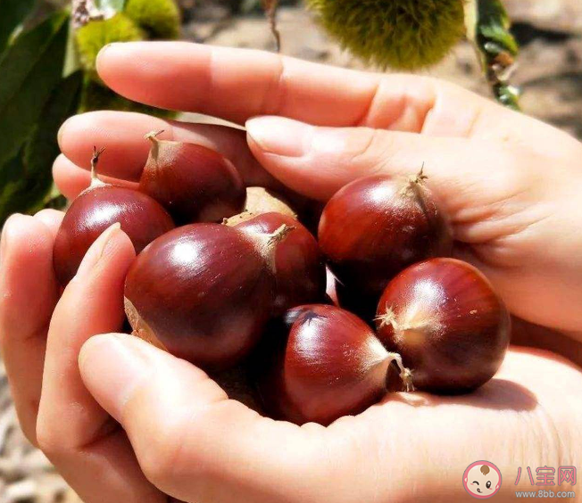 女子吃烤栗子被炸嘴肿得张不开 炒板栗为什么会爆炸 女子吃烤栗子被炸嘴肿得张不开 炒板栗为什么会爆炸