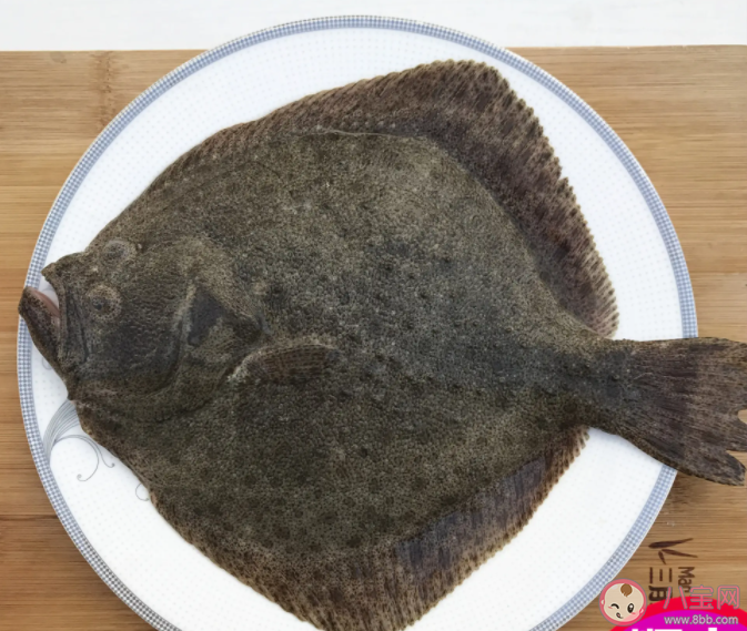 生活中常见的多宝鱼是海鱼还是淡水鱼 神奇海洋10月9日答案 生活中常见的多宝鱼是海鱼还是淡水鱼 神奇海洋10月9日答案