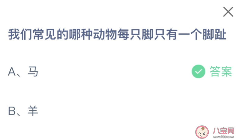 我们常见的哪种动物每只脚只有一个脚趾 蚂蚁庄园10月11日答案