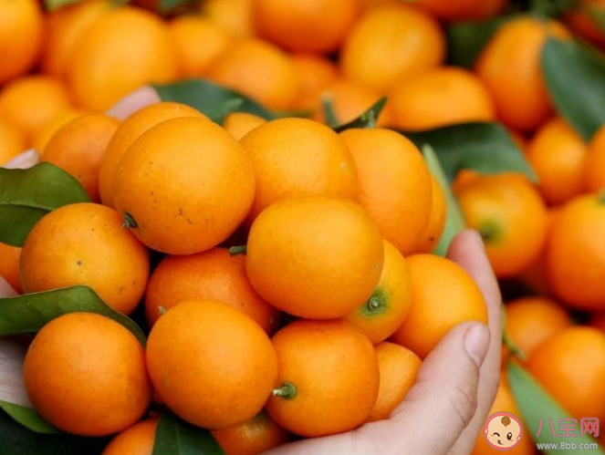 广西街头10元能买70个火龙果 广西水果为什么这么便宜 广西街头10元能买70个火龙果 广西水果为什么这么便宜