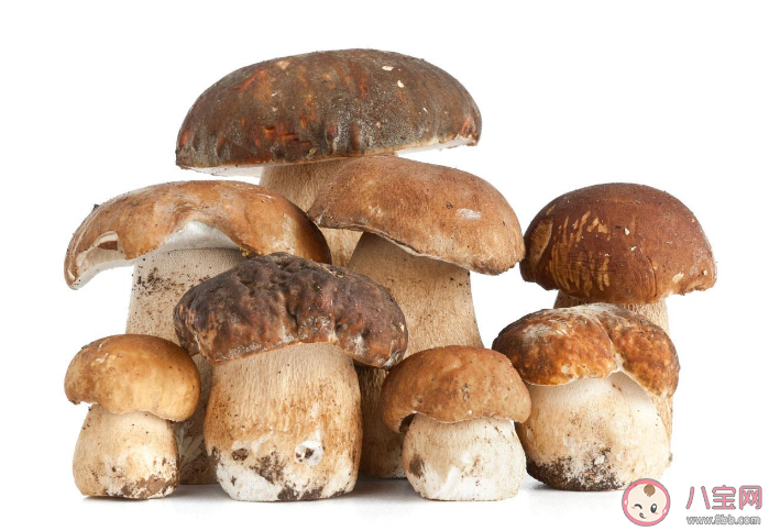 蘑菇和茄子一起吃会中毒吗 吃了有毒的蘑菇怎么办