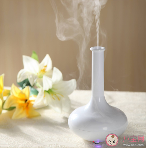 加湿器离脸越近皮肤越好吗 购买加湿器如何确定自己的需求 加湿器离脸越近皮肤越好吗 购买加湿器如何确定自己的需求