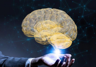 女子眼球充血就医后发现大脑短路 大脑真的会短路吗