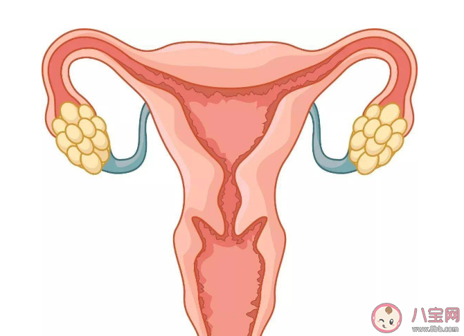 常喝咖啡会导致卵巢囊肿吗 患有卵巢囊肿会有感觉吗
