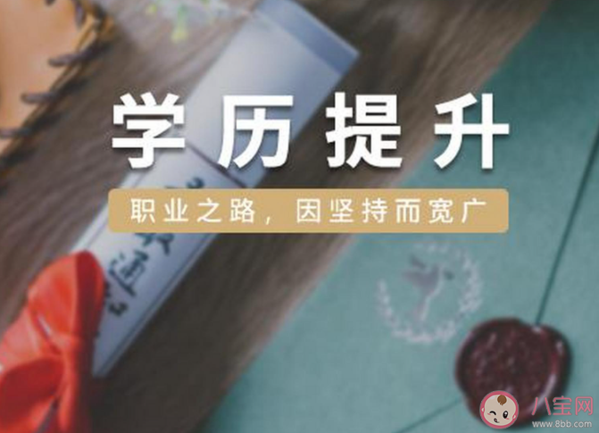 学历与能力哪个更管用 学历高低都无所谓吗