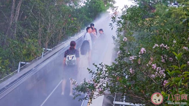 景区安装电梯登山引争议 爬山的意义到底是什么 景区安装电梯登山引争议 爬山的意义到底是什么