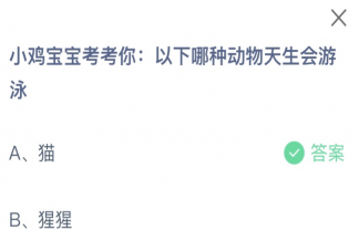 以下哪种动物天生会游泳 蚂蚁庄园10月14日答案介绍