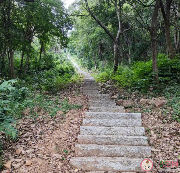 无痛爬山为何引争议 你会选择坐电梯爬山吗