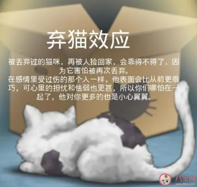 你知道感情中的弃猫效应吗 如何看待感情中的弃猫效应 你知道感情中的弃猫效应吗 如何看待感情中的弃猫效应