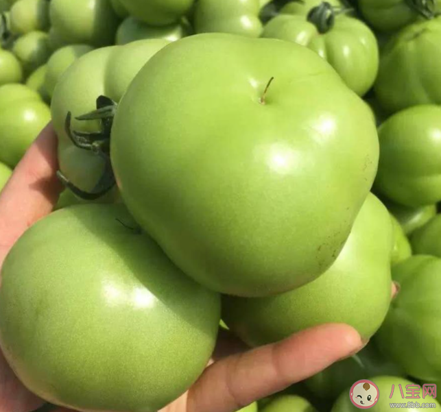 以下哪种秋季水果曾被古人用来染布 蚂蚁庄园10月18日答案介绍